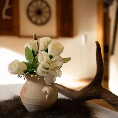 Olympia Alpesi faház