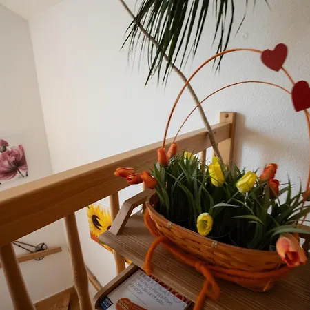 Olympia Neustift im Stubaital