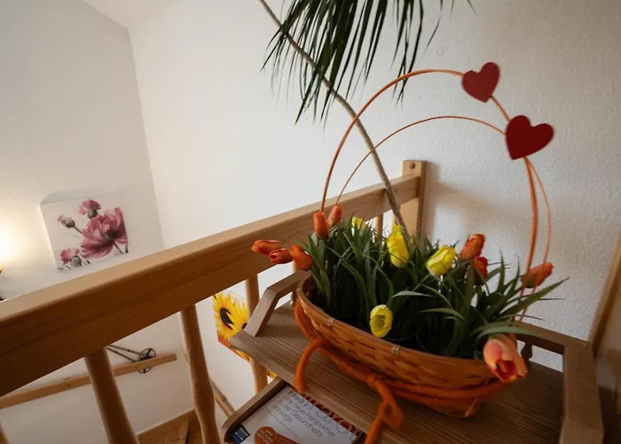 Olympia Rehoboth Beach